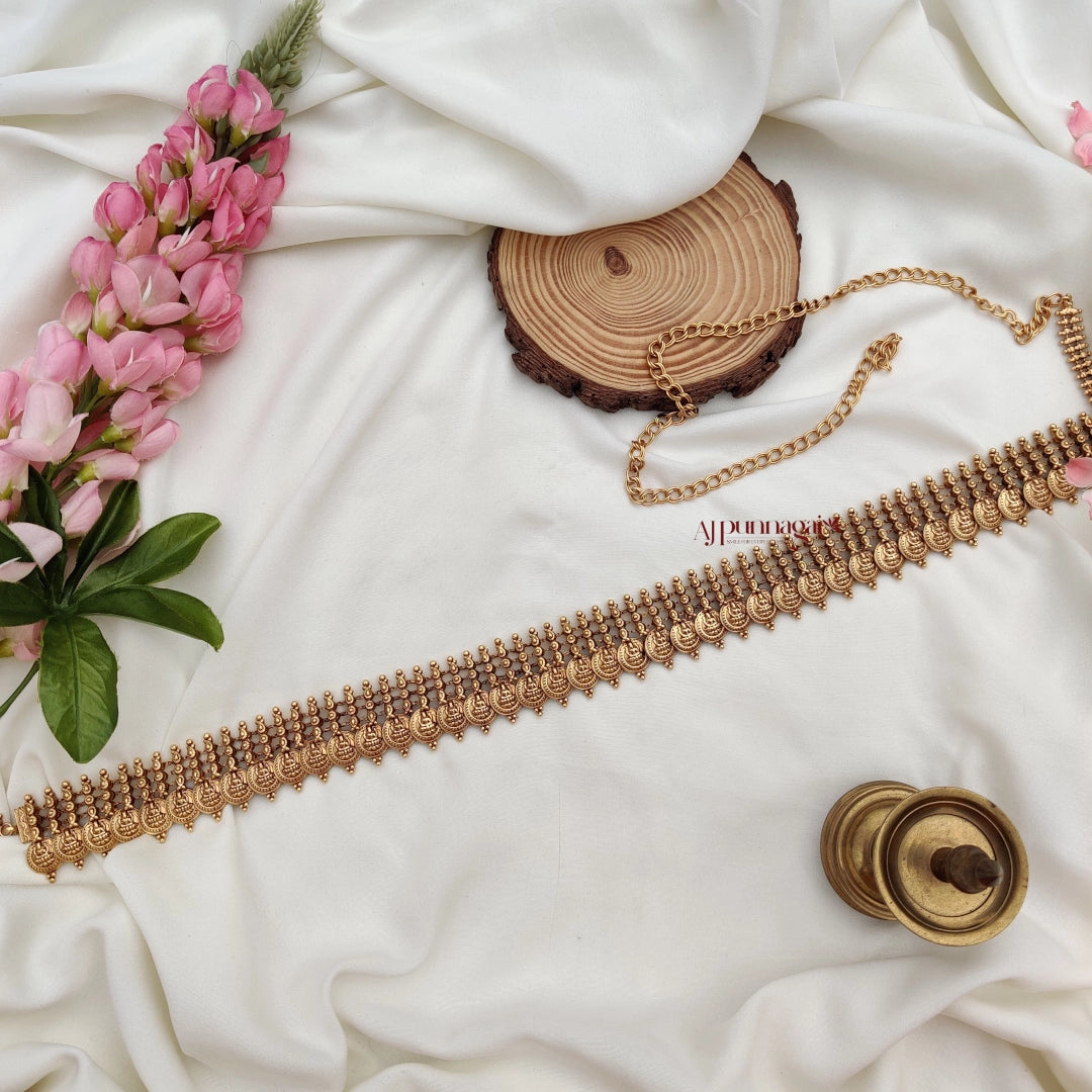 Lakshmi Coin Hip belt