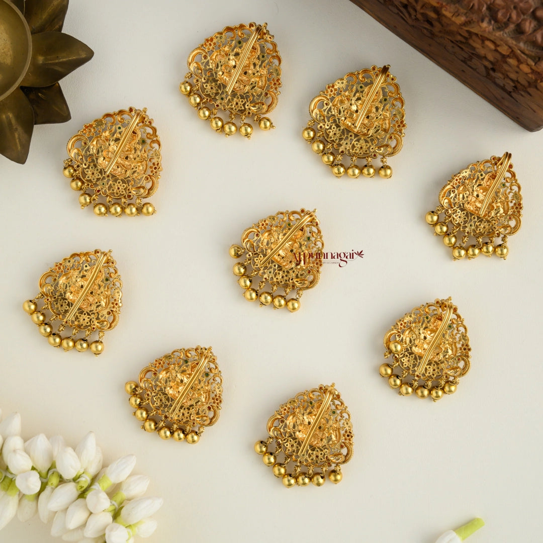 Beautiful Traditional Lakshmi Jadabillai - Set of 9