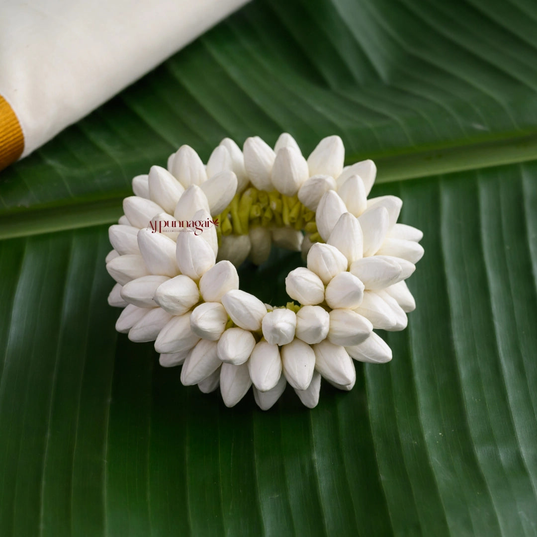 Realistic Jasmine Look Chendu