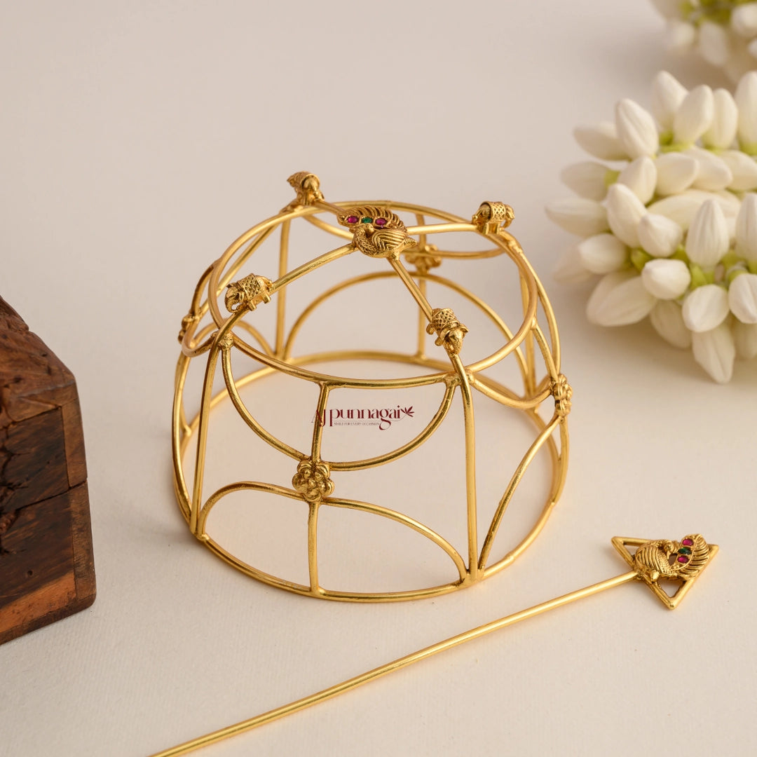 Lovely Peacock Hair Cage