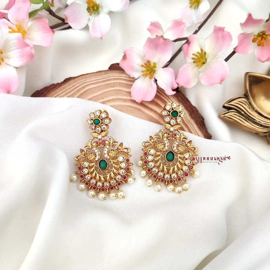 Sparkling AD stone Peacock Earring - Multi