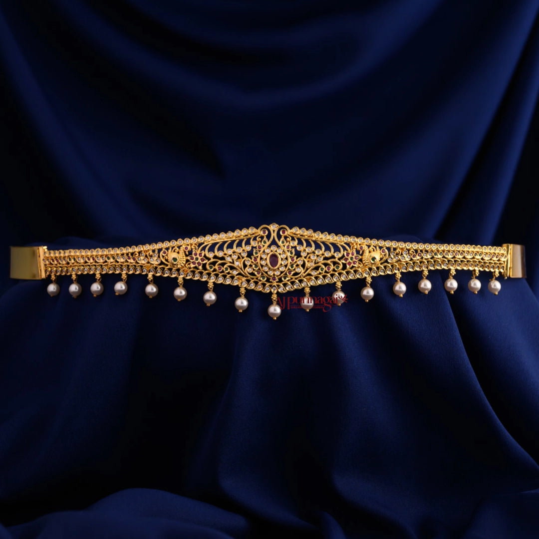 Graceful Stylish AD Hip Belt