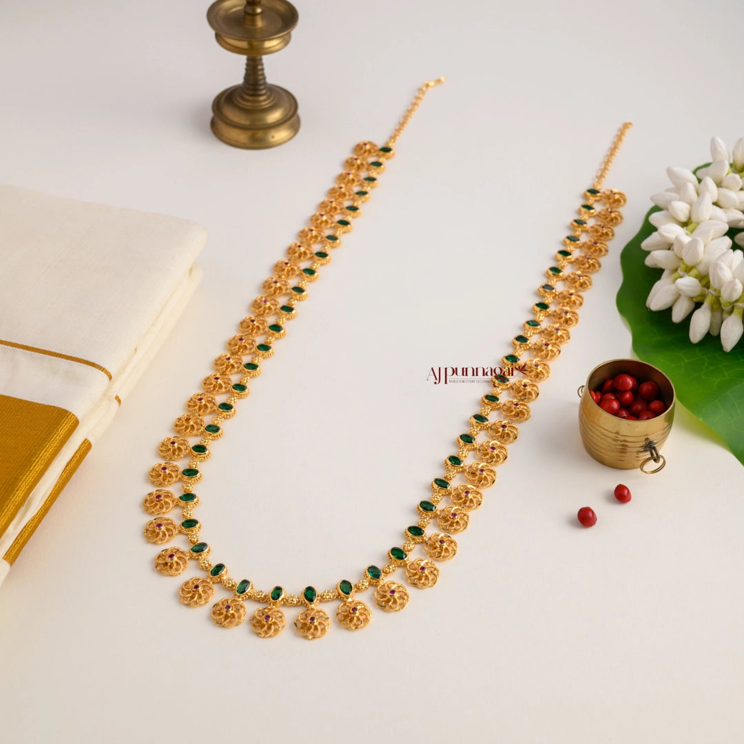 Gold Inspired Floral Sufi Haram - Multi
