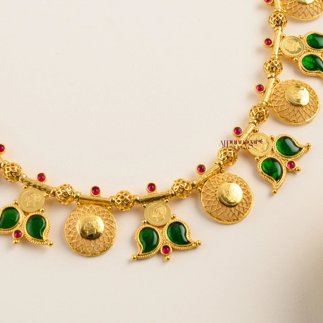 Royal Look Mango Palakka Haram