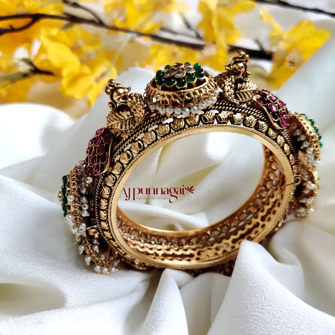 Hasini Kada Bangle