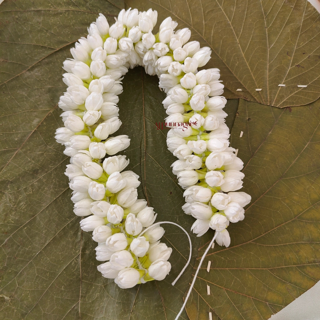 Realistic Bloomed Jasmine Bud String