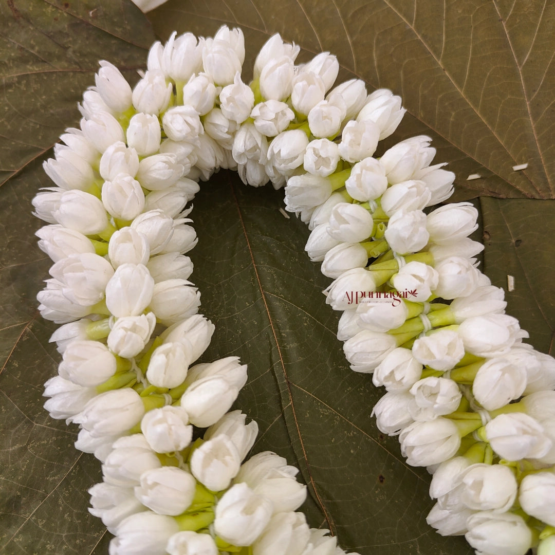 Realistic Bloomed Jasmine Bud String