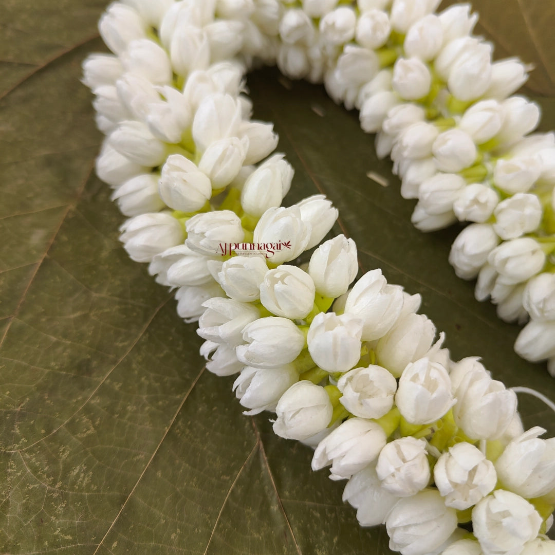 Realistic Bloomed Jasmine Bud String