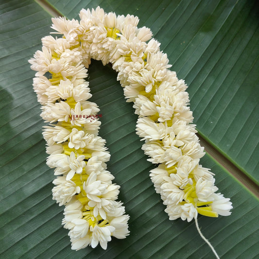 Realistic Reusable Foamiran Double Layered Mullai String